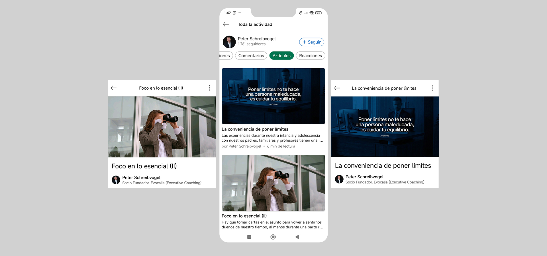 Composición de tres imágenes del perfil de Peter Sheibvogel en Linkedin. La imagen central es el perfil con dos posts y en la derecha y en la izquierda salen los post más detallados.